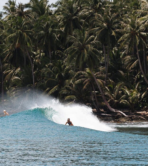 The Beginner’s Guide To Surfing Essentials